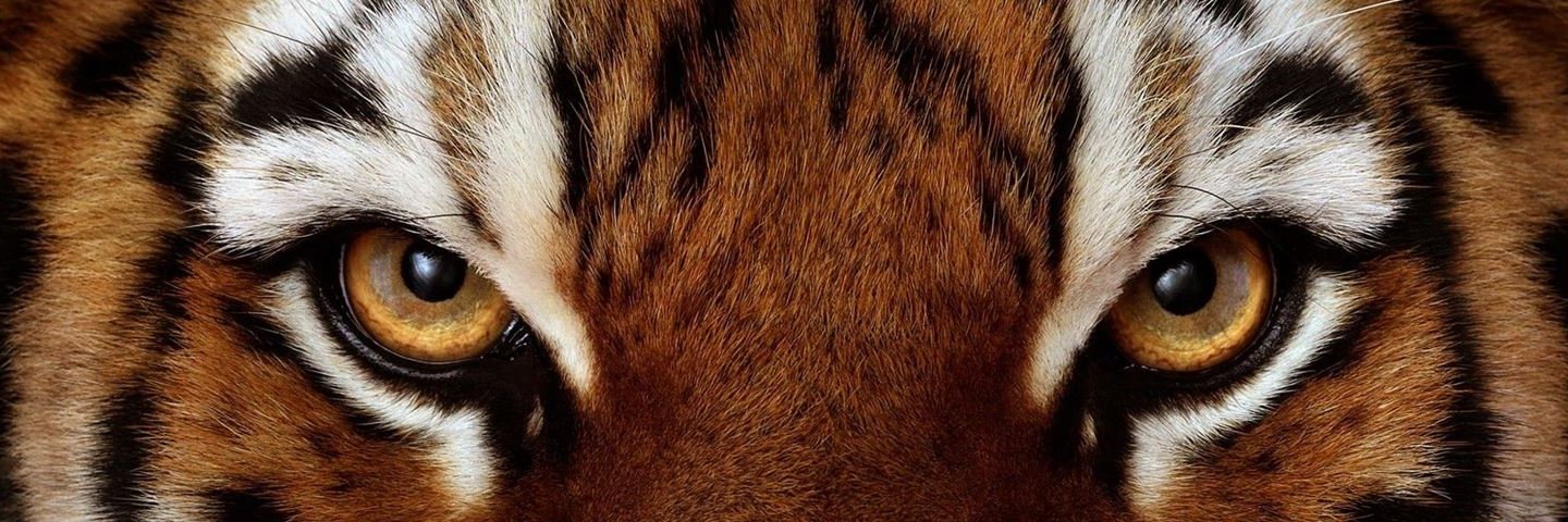 𝙍 𝘼 𝙔 𝙉 𝘼 🇮🇳 banner