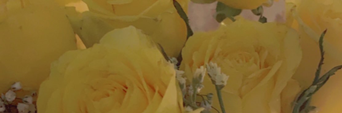 mesh2322's profile banner image