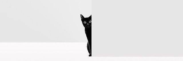 Ray_friden's profile banner image