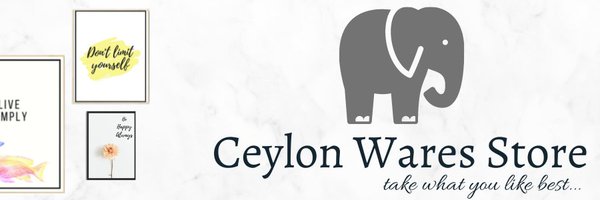 StoreWares Profile Banner