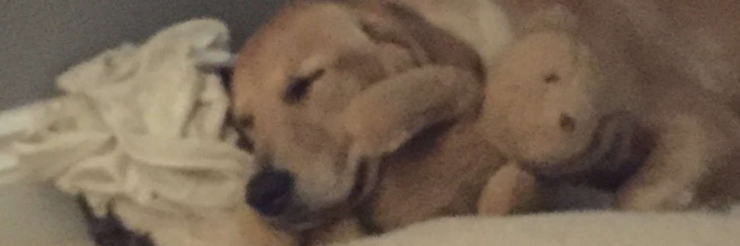 reid1204's profile banner image