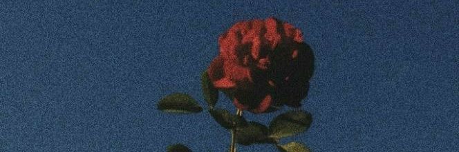 Pornteb3's profile banner image