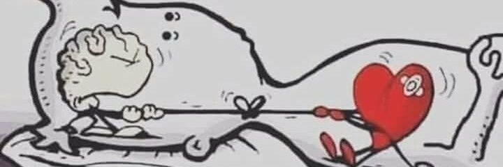 aliscahir's profile banner image