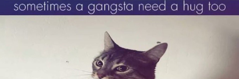 larilfss's profile banner image