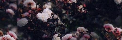 Alina_Cocacream's profile banner image