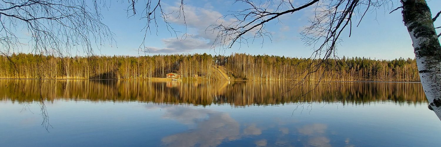 Timo 🇫🇮 🇸🇪 banner