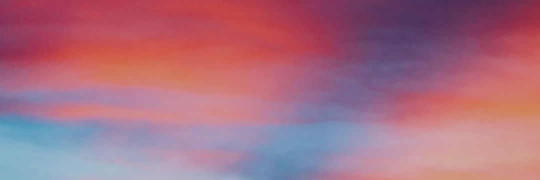 vzanuzzo's profile banner image