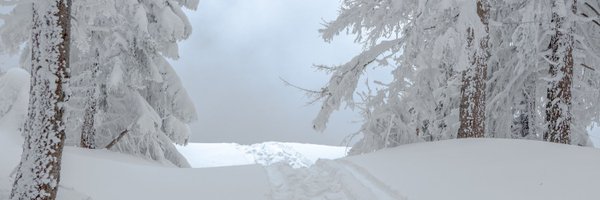 float_inf Profile Banner