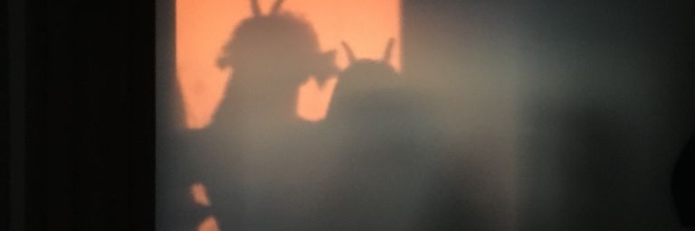 Angel77130's profile banner image