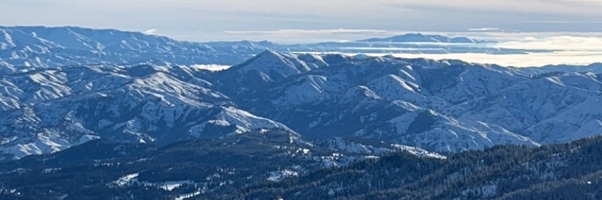 Ari Davidson banner