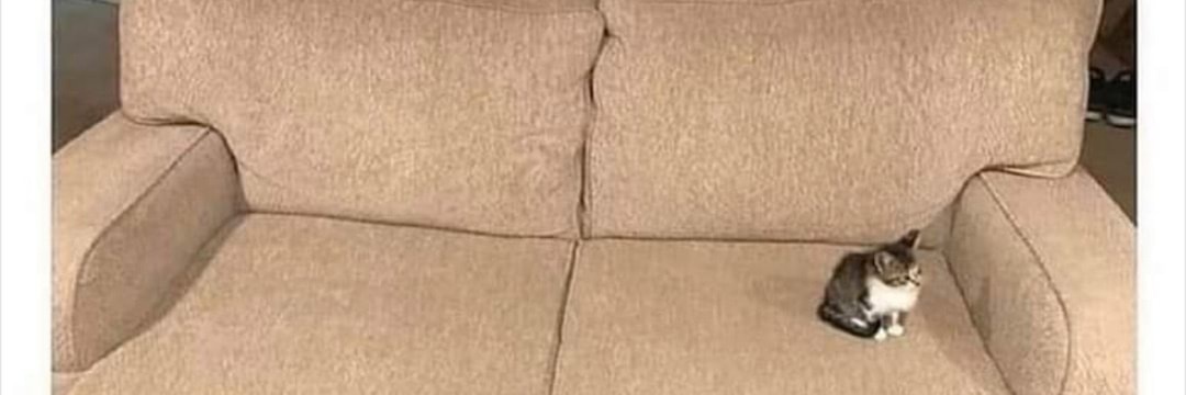 NotSimpleSenpai's profile banner image