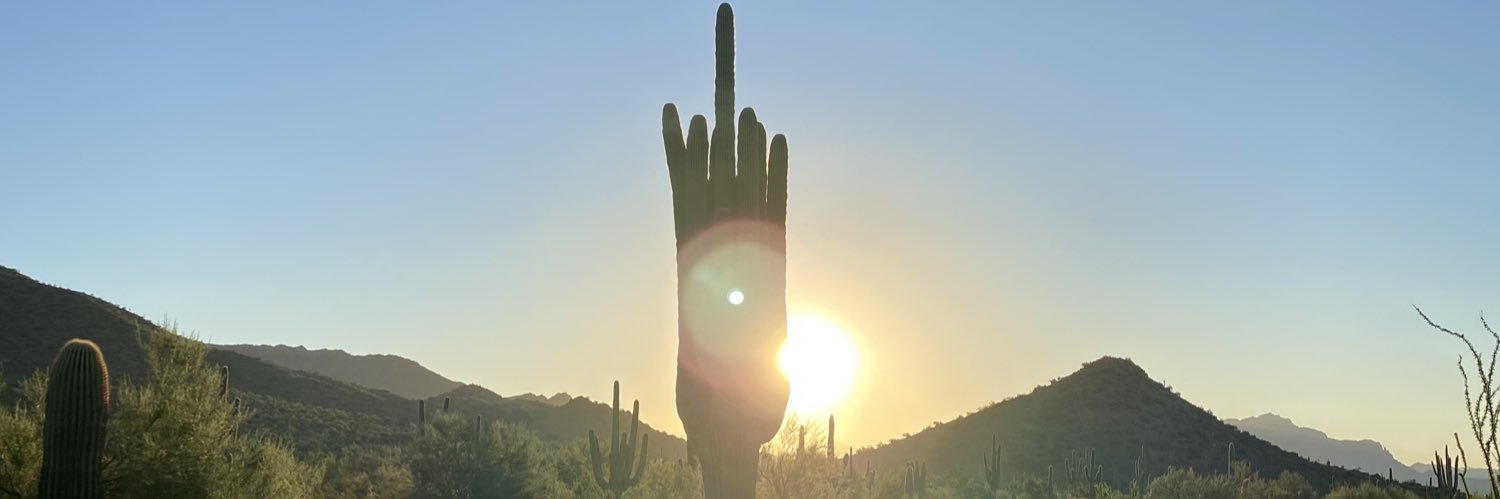 LudisBear's profile banner image