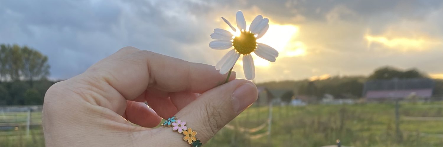 kymetevin's profile banner image