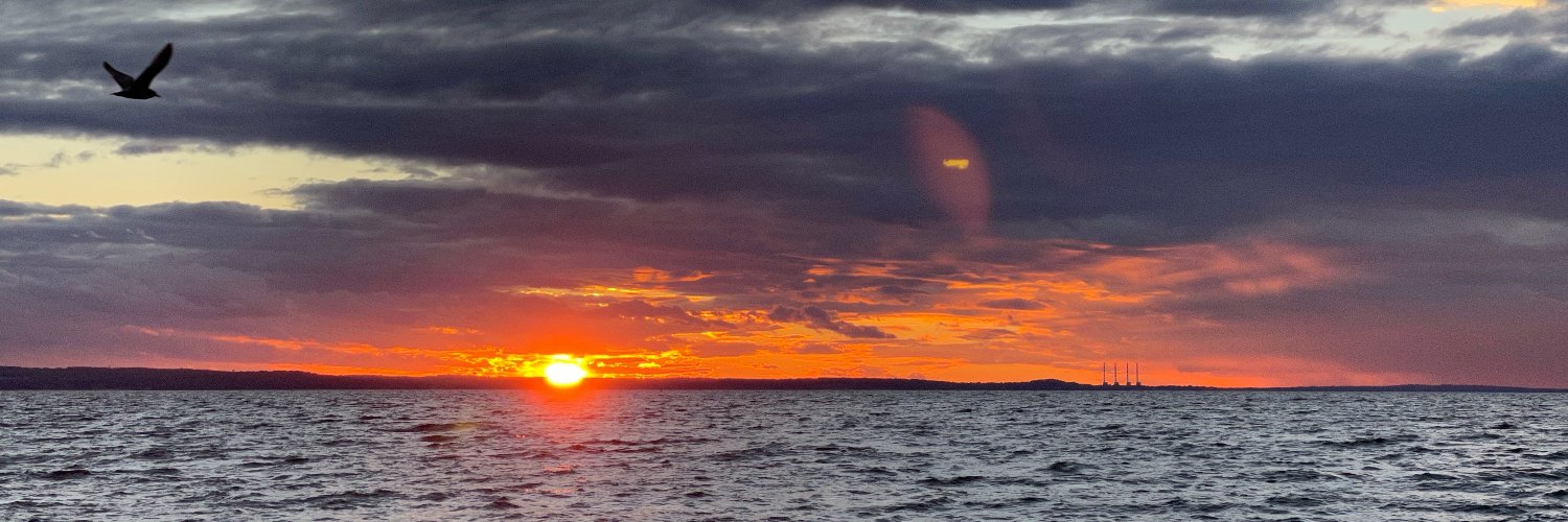 David Zappulla banner