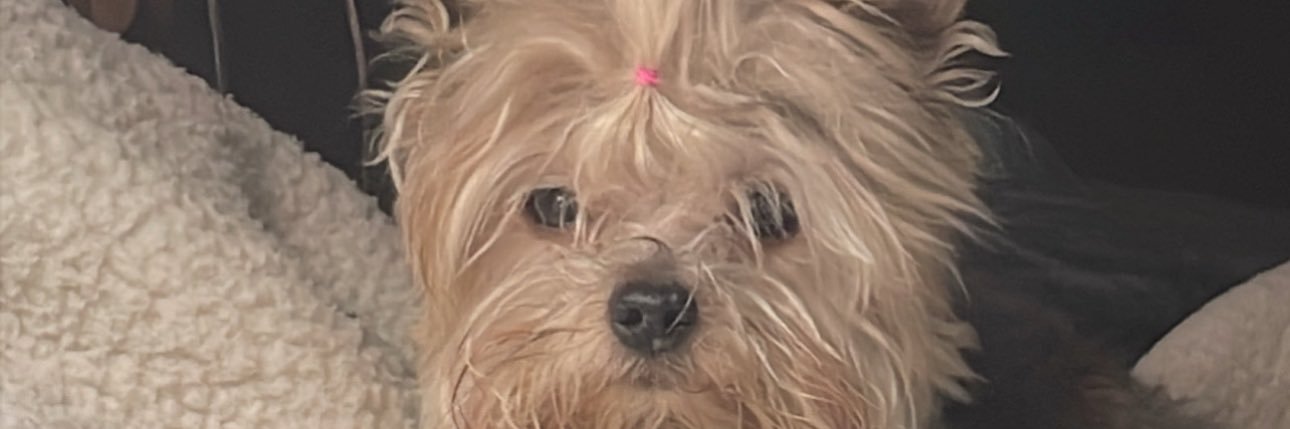 alinitadi's profile banner image