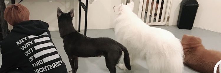 mootoofluffy's profile banner image