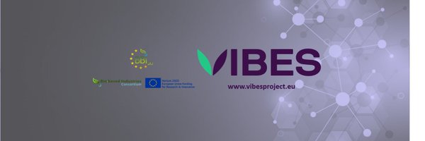 VIBESEU2 Profile Banner