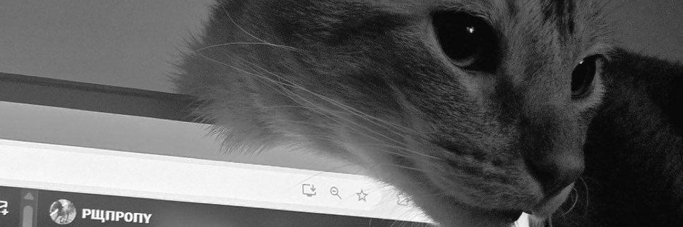 ۗۗۗۗۗۗۗۗۗۗۗۗۗۗۗۗۗۗۗۗۗۗۗۗۗۗۗۗۗۗۗ 🀢 wₜfᵤₓ banner