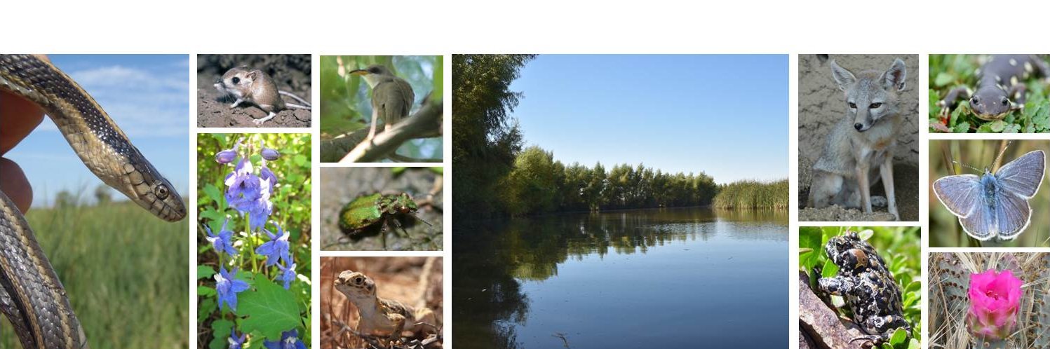 USFWSSac's profile banner image