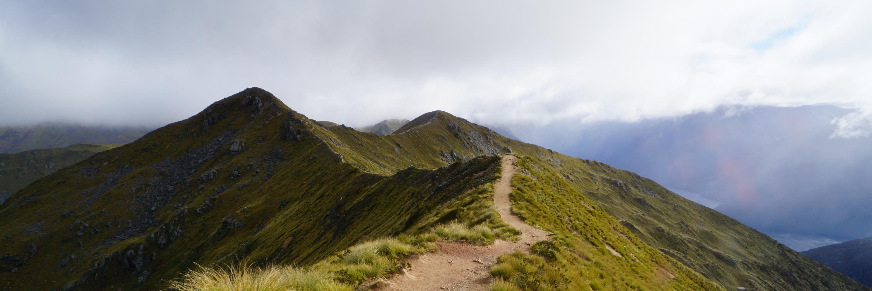 danielrhammond banner