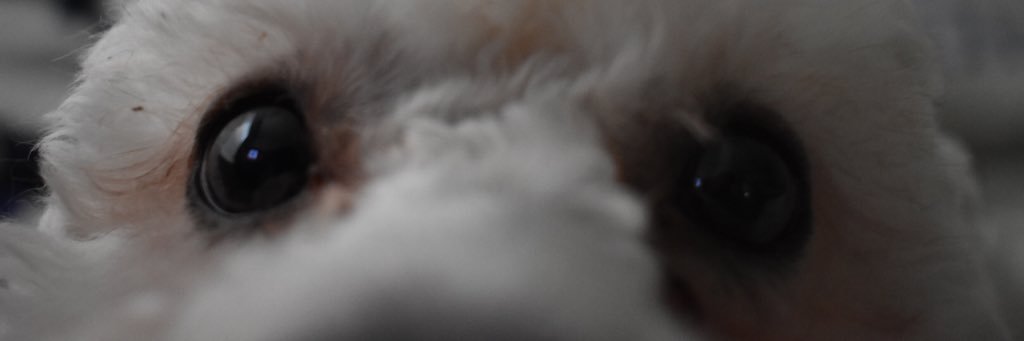 Ceabass's profile banner image