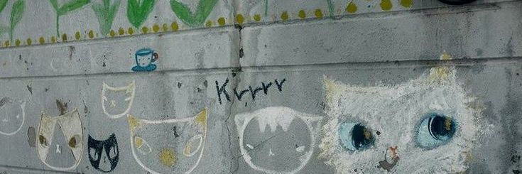 coco (fan account) banner