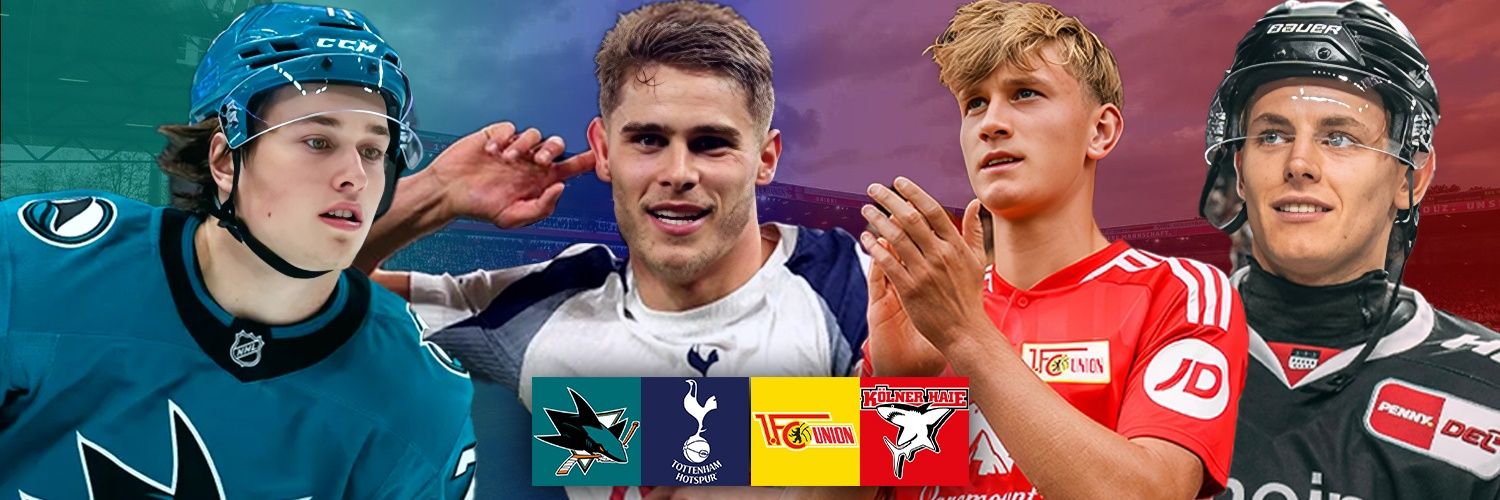 Niklas banner