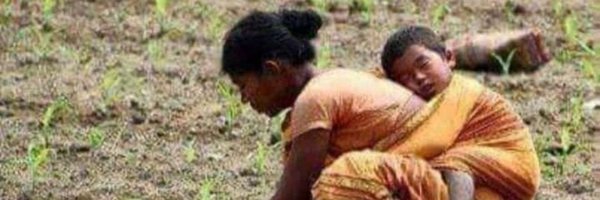 CricFan2000 Profile Banner