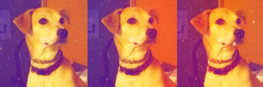 HakunaMessina's profile banner image
