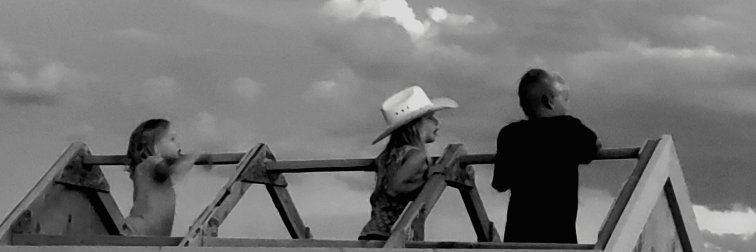 Big Sage Press's banner