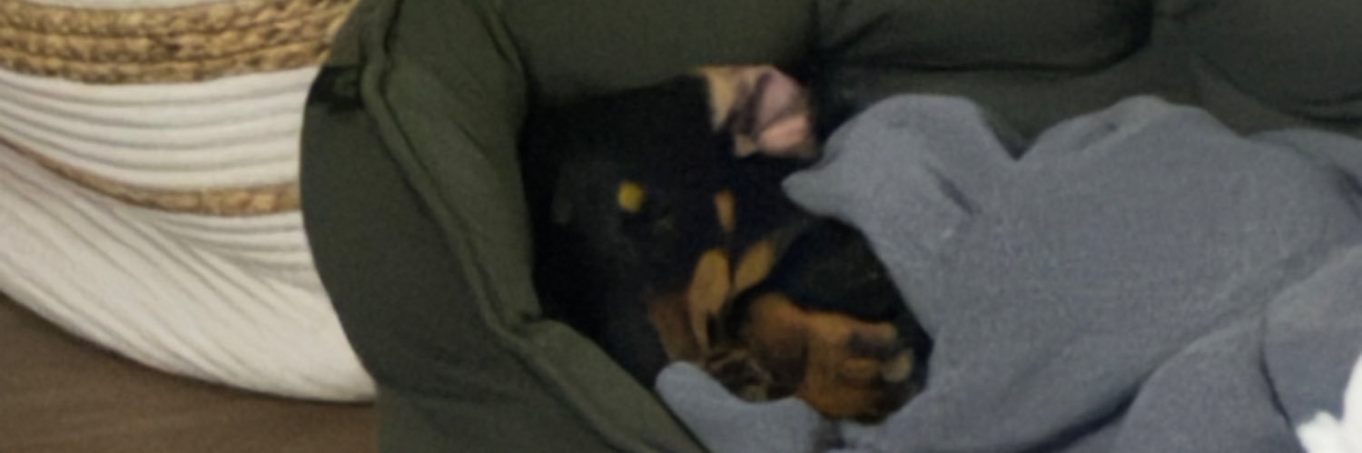 aloPocket's profile banner image