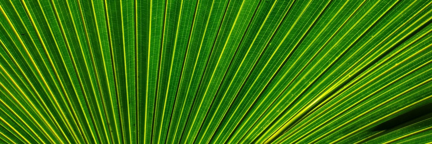 LicorneAVelo's profile banner image