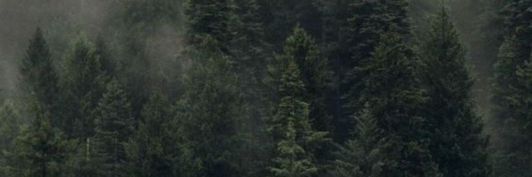 FedeMnA's profile banner image