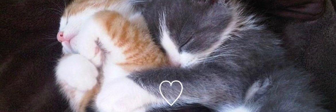 Apicallover11's profile banner image