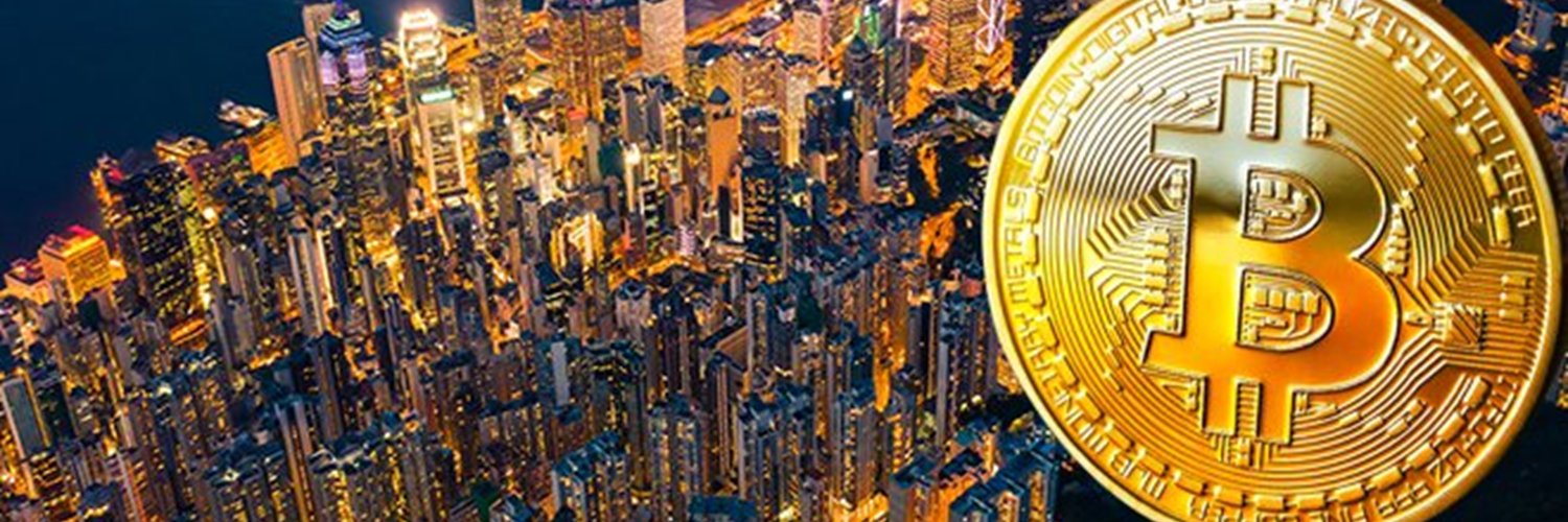 うっしー🐮｜Ussy the Bitcoin Bull – HODL & Cruise 🌕🚢's banner