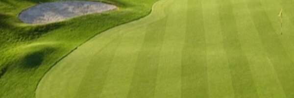 Munster Golf Profile Banner