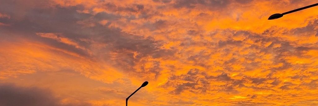 xoxosssn's profile banner image