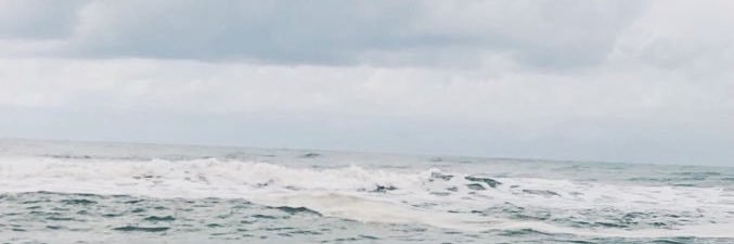 Tinch0Cat's profile banner image