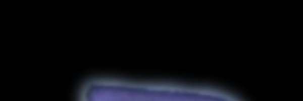 interrob_ng Profile Banner