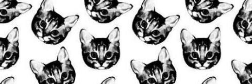 Yanetmedrano19's profile banner image