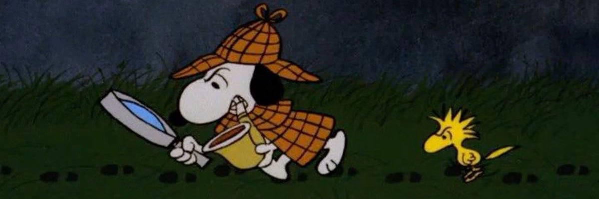 katymad34's profile banner image