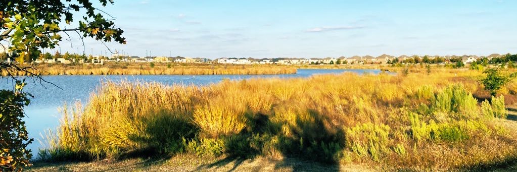 यायावर banner