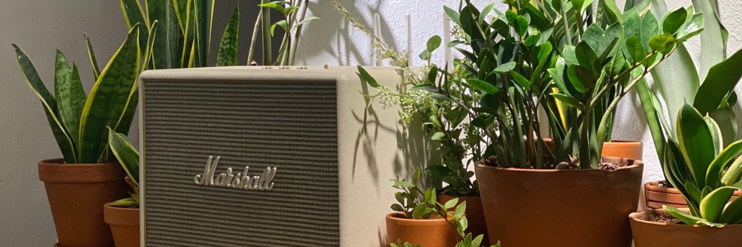𝐜𝐡𝐚 banner