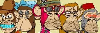 50_memphis's profile banner image