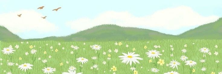 smidge banner