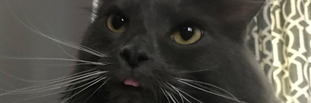 BaaiIey's profile banner image