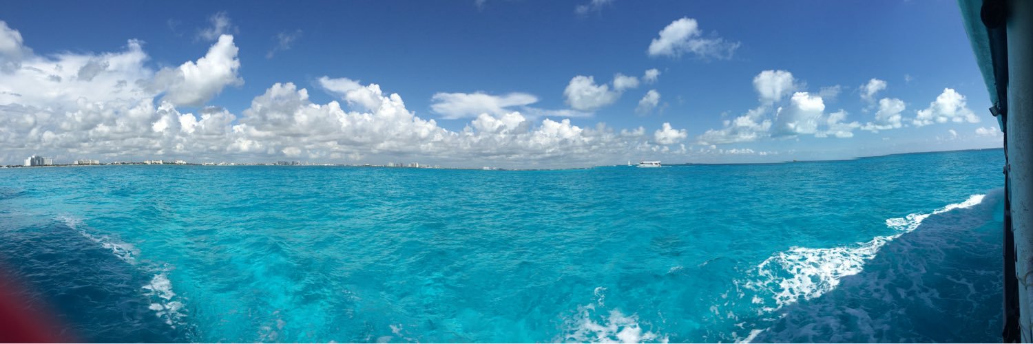 AlexiaBurt's profile banner image