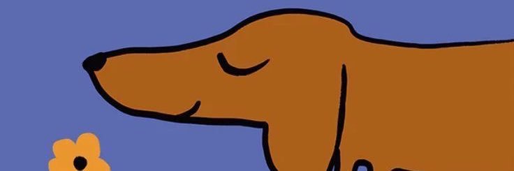 naomi. banner