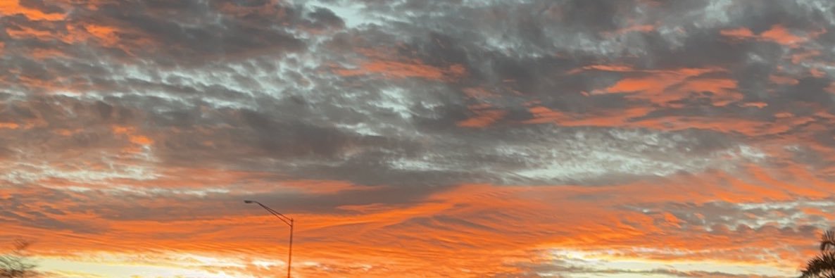 NikkiGatos's profile banner image