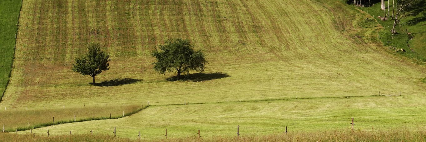 AS_landscapes's profile banner image
